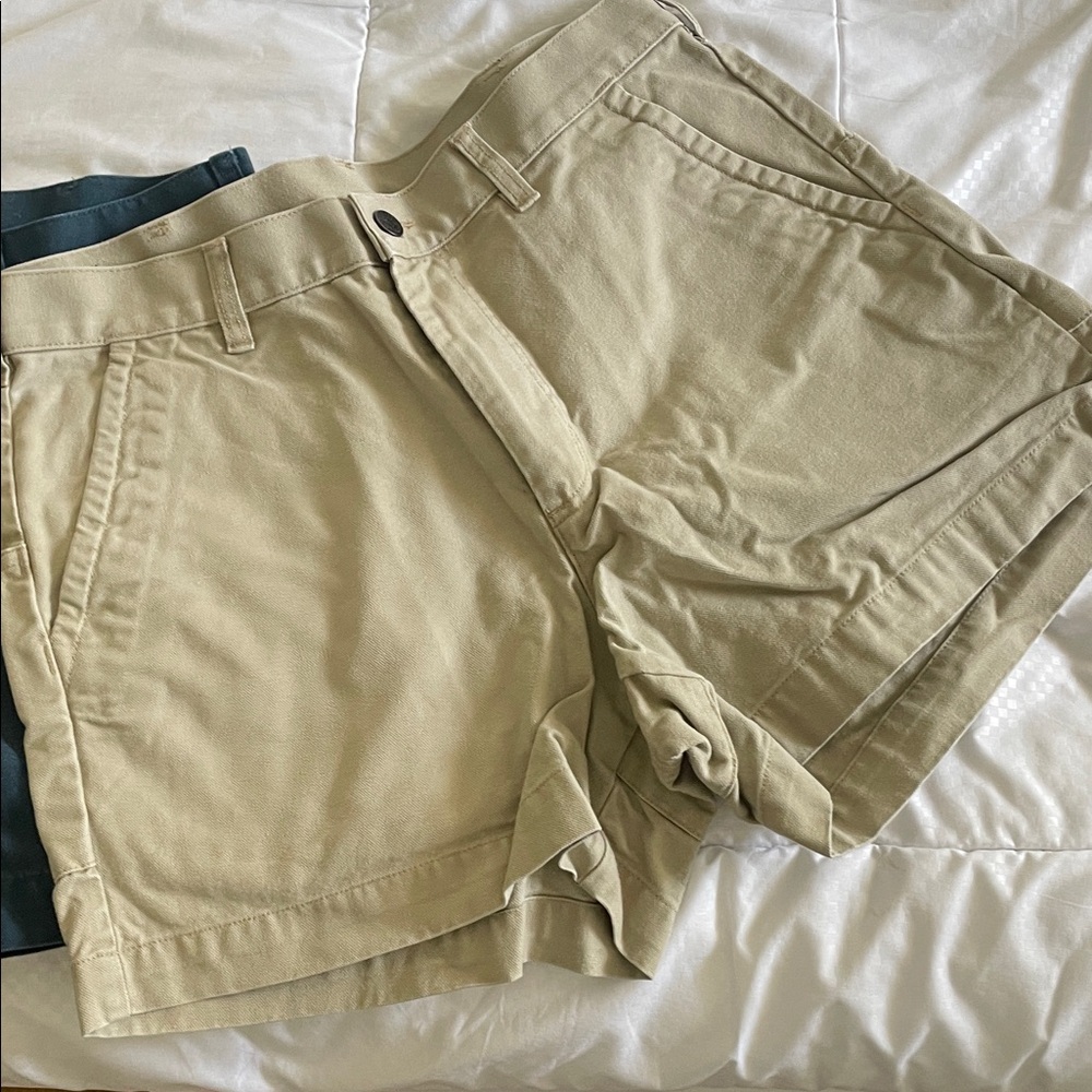 Patagonia Men's Tan Flat Front Shorts